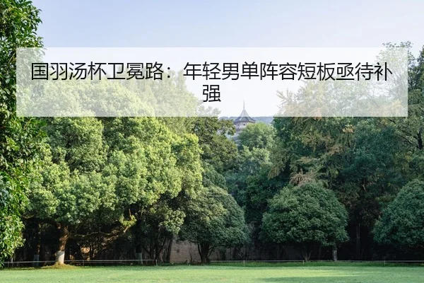 guo-yu-tang-bei-wei-mian-lu-nian-qing-nan-dan-zhen-rong-duan-ban-ji-dai-bu-qiang-2-633.jpg