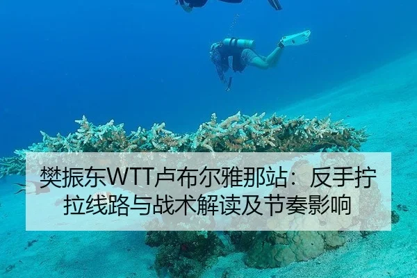 樊振东WTT卢布尔雅那站：反手拧拉线路与战术解读及节奏影响