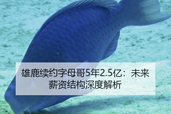 雄鹿续约字母哥5年2.5亿：未来薪资结构深度解析