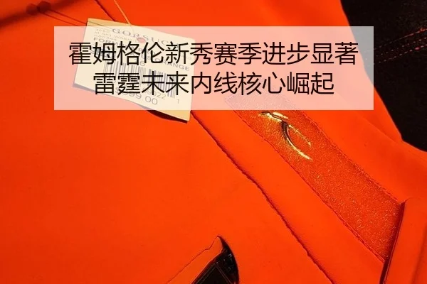 huo-mu-ge-lun-xin-xiu-sai-ji-jin-bu-xian-zhu-lei-ting-wei-lai-nei-xian-he-xin-jue-qi-3-512.jpg