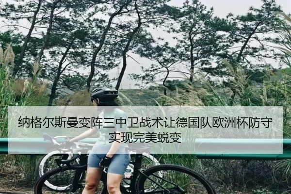 na-ge-er-si-man-bian-zhen-san-zhong-wei-zhan-shu-rang-de-guo-dui-ou-zhou-bei-fang-shou-shi-xian-wan-mei-tui-bian-2-555.jpg