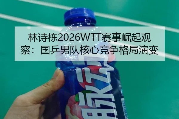 lin-shi-dong-sai-shi-jue-qi-guan-cha-guo-ping-nan-dui-he-xin-jing-zheng-ge-ju-yan-bian-2-320.jpg